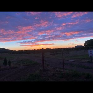 Meet your Posher, Tatum